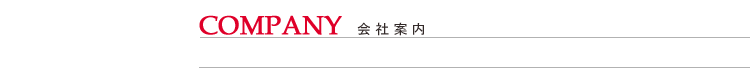 Company Infomation